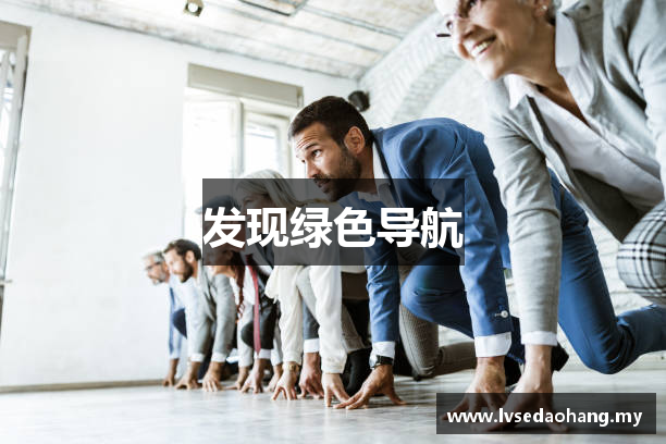 发现绿色导航